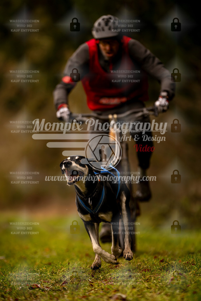 MompixPhotography_2SSTSSBW_2025_SO_Bike-20 | PayLife