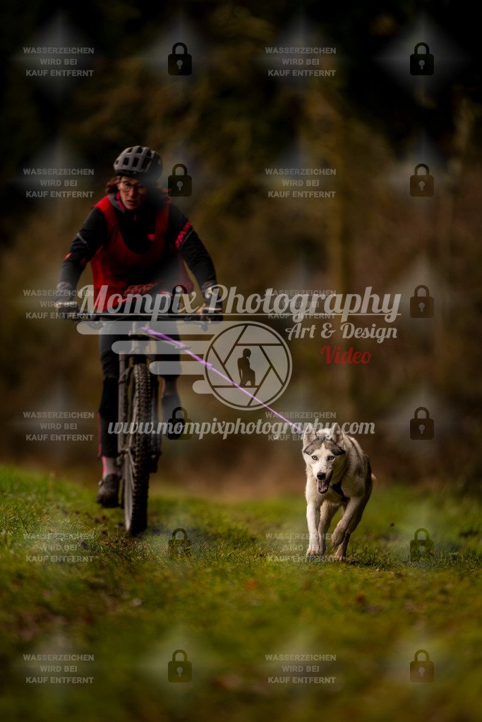 MompixPhotography_2SSTSSBW_2025_SO_Bike-76 | PayLife