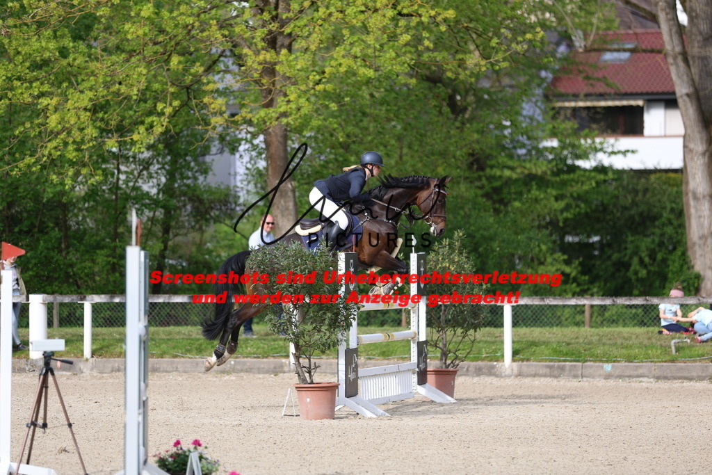 A40A2935 | lmwpictures - Realisiert mit Pictrs.com