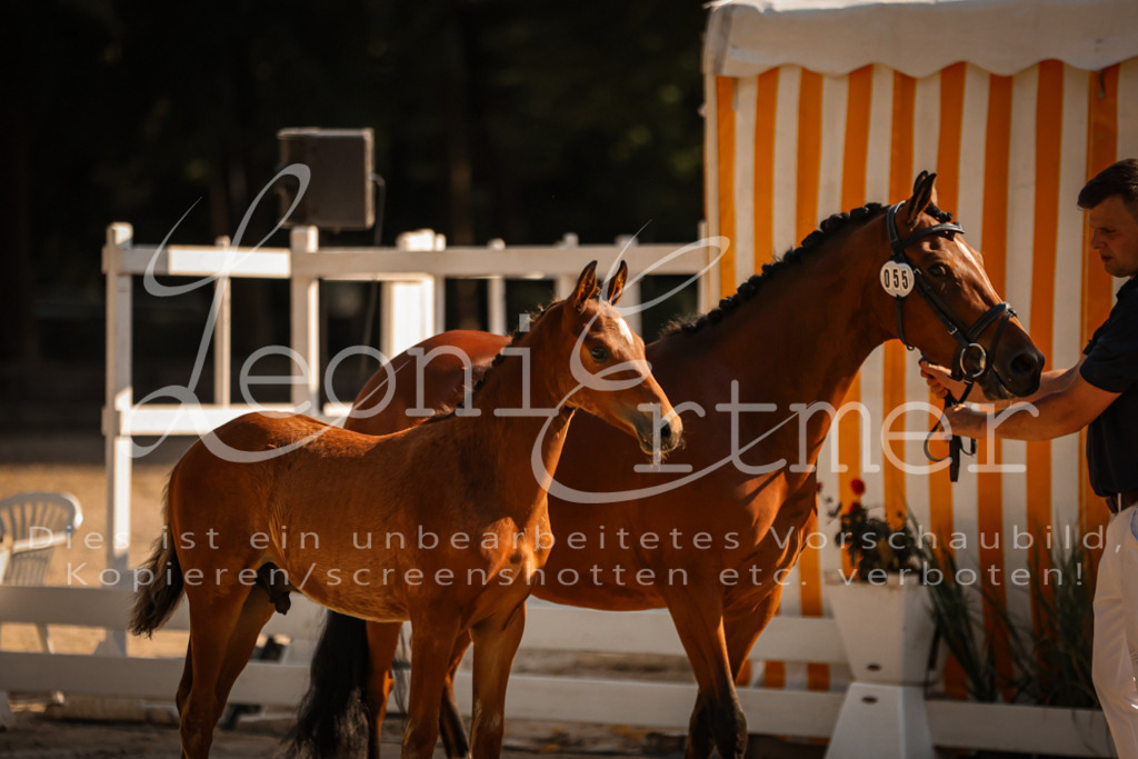 11.DoRP00110 | Leoni Ertmer Photography - Realisiert mit Pictrs.com