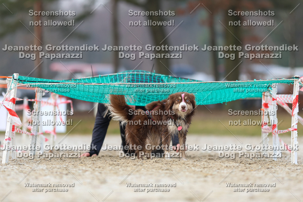 Dog Paparazzi - Strongdog North Mrz26-3756 | Dog Paparazzi Jeanette Grottendiek Fotografie & Videografie - Realisiert mit Pictrs.com