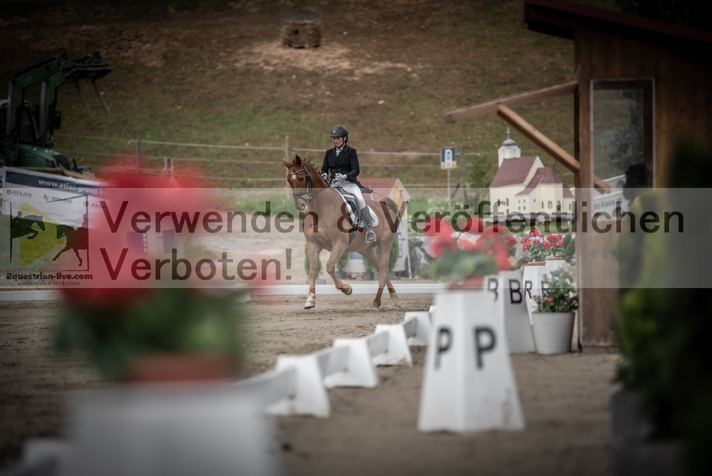 DSC_2498 | equestrian-live-com