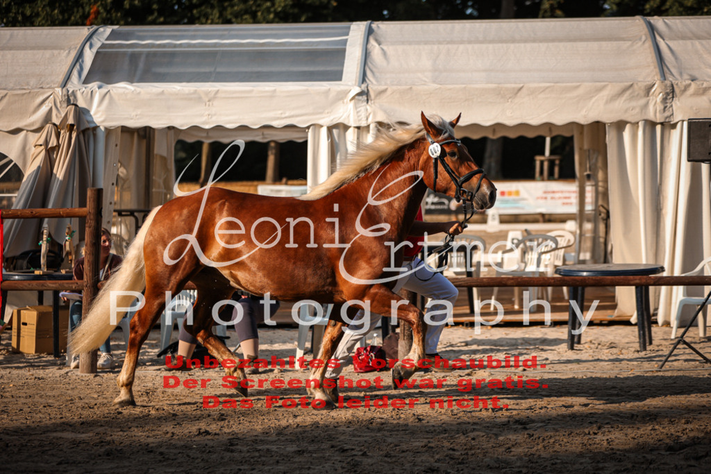 Fr3K00119 | Leoni Ertmer Photography - Realisiert mit Pictrs.com