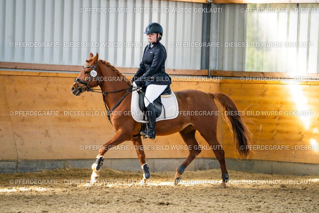 DSC01436 | Pferdegrafie