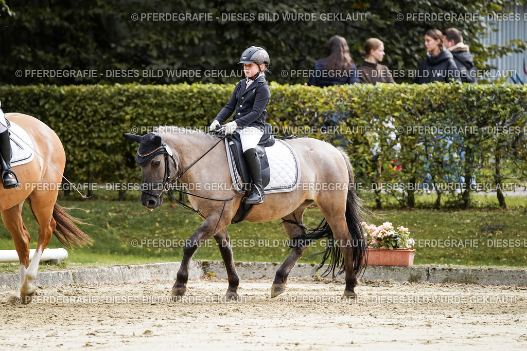 DSC05352 | Pferdegrafie