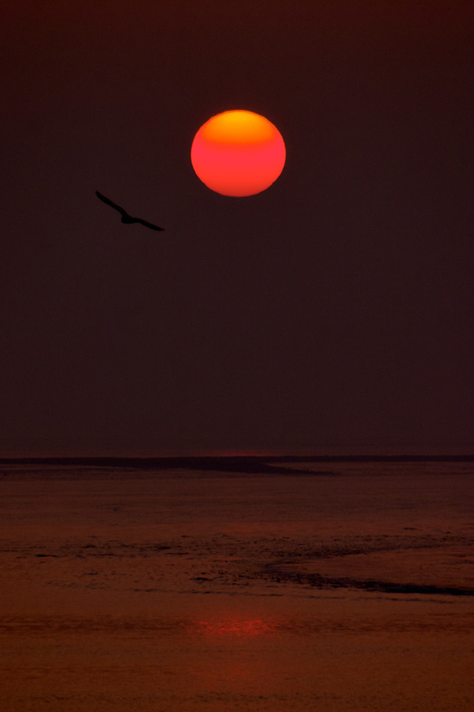 Nordsee Abendsonne | kleinen-fotografie