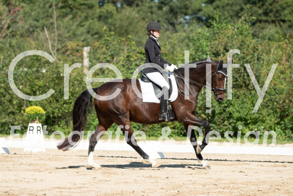 IMG_5015 | Creatify Fotografie