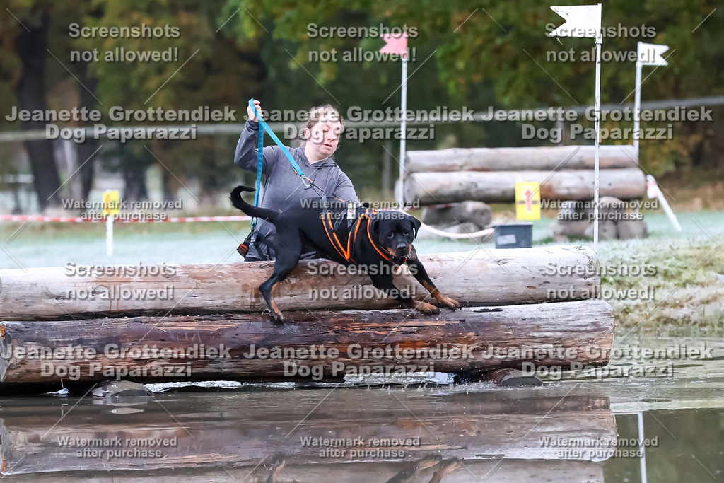 Dog Paparazzi - Strongdog 10-25-6068 | Dog Paparazzi Jeanette Grottendiek Fotografie & Videografie - Realisiert mit Pictrs.com