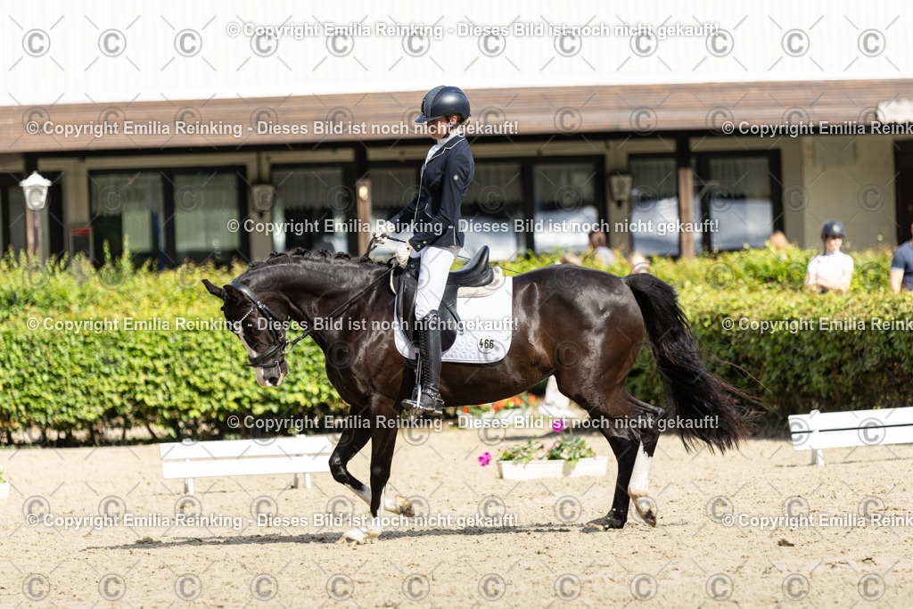 CL5A6010-2 | Emilia Reinking Fotografie - Realisiert mit Pictrs.com