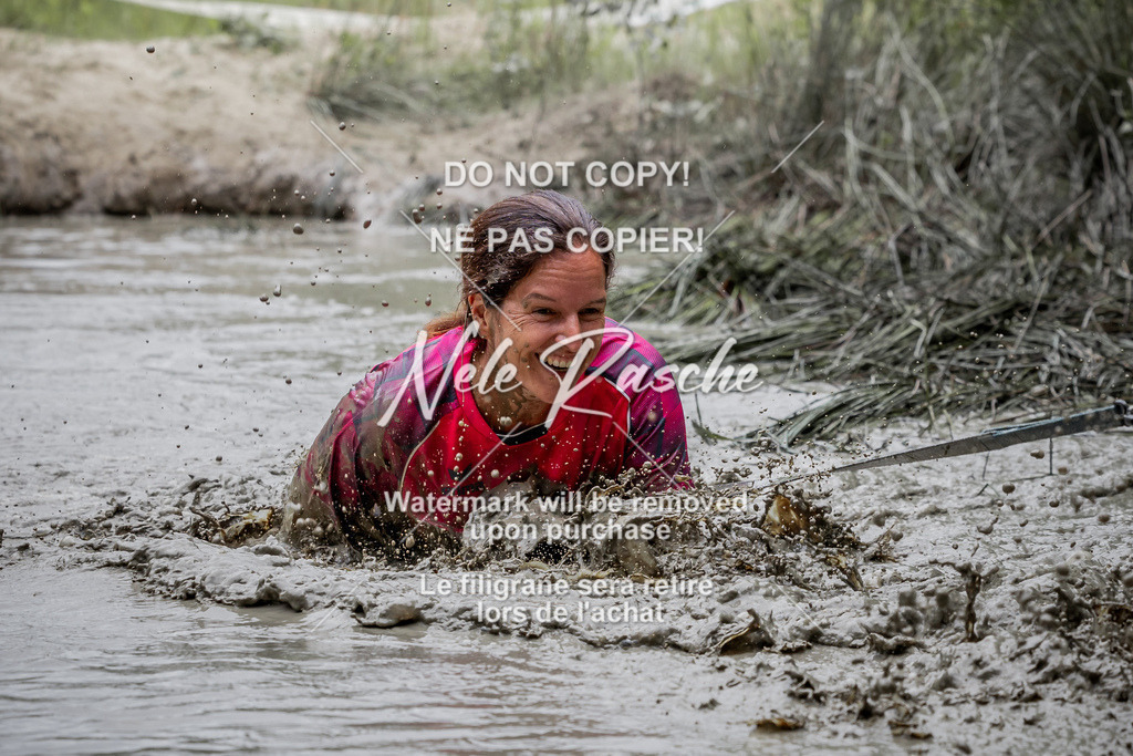 nelerasche_so1330-1400_404 | nelerasche