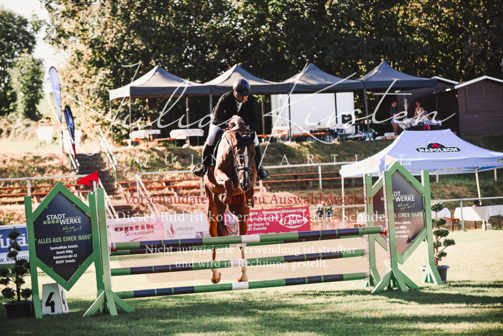 DSC_2194 | Pferde- und Turnierfotografie in Westsachsen. Pferdeportraits, Auftragszeichnungen und intuitive Kunst.