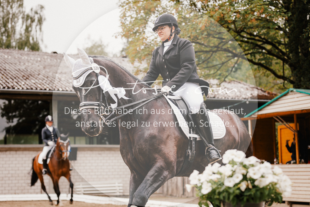 3I6A7874 | Stimmungsvolle Portraits und Reitsportfotografie im Ruhrgebiet und im Münsterland.

Pferdefotografie, Hundefotografie, Tierfotografie, Reportagen, Portraits von Tier und Mensch, Turnierfotografie in Bochum, Recklinghausen, Marl, Haltern am See, Dülmen.. - Realisiert mit Pictrs.com