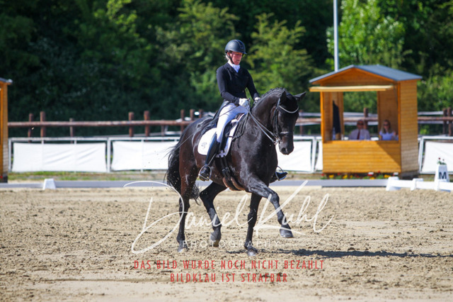 DKP42526 | Turniersportfotografie; Pferdefotografie; Dressurfotografie