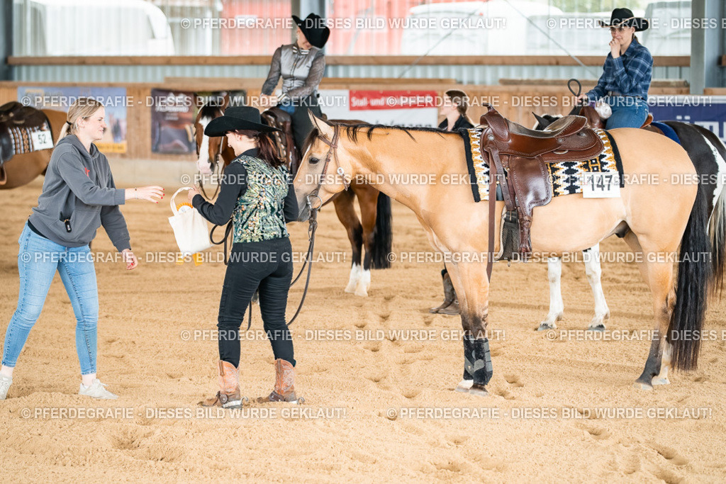 DSC03146 | Pferdegrafie