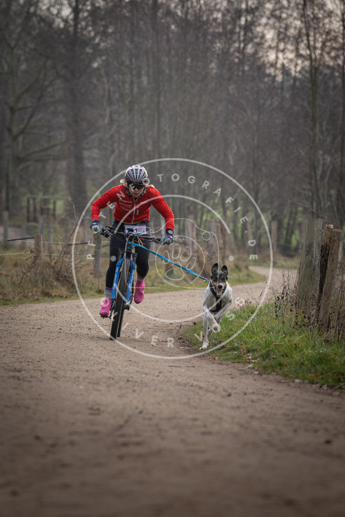 Pfotenfotografie_DV3A1453 | Hundefotografie, Tierfotograf, Pfotenfotografie, Fotoshooting Hund, Hunde Portrait, Hundesport, Hundeportraits, Heideshooting, Hunde, Sportfotograf, Hundefotograf, Turnierhundsport, THS,  - Realisiert mit Pictrs.com