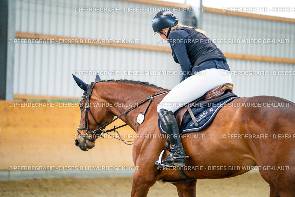 DSC00549 | Pferdegrafie