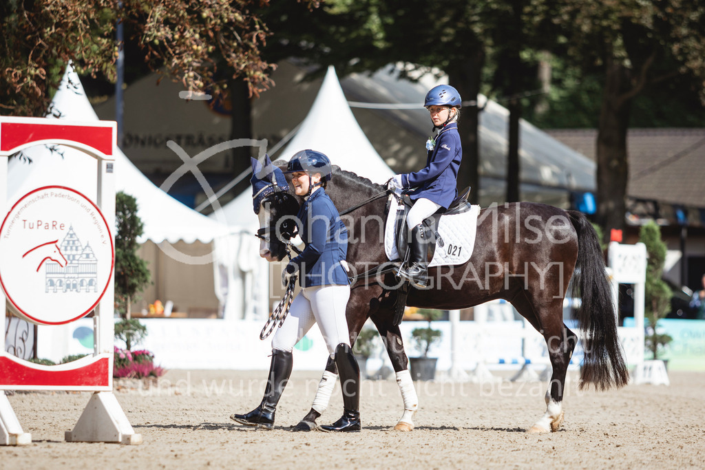 240915_OWLCh_FuehrzuegelWB-693 | Deine schönsten Turniermomente als professionelle Fotos! Entdecke hochwertige Pferdesport-Fotografie im Online-Shop. Jetzt Fotos finden & bestellen!