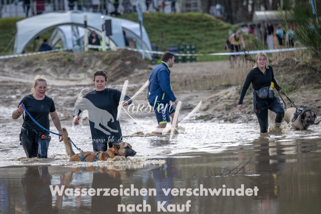 1045_ZZ91593 | kk-dogfotos