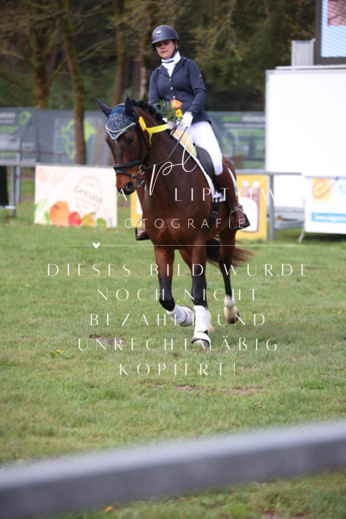 IMGT3465 | pl-fotografie