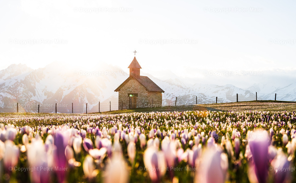 Glocknerblick-631 | piet_flosse