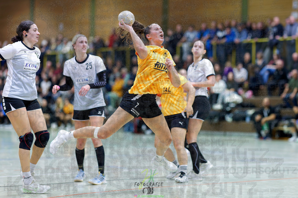Frauen Oberliga Mitte (HHV); HSG Eibelshausen/Ewersbach - HSG Linden | Frauen Oberliga Mitte (HHV); HSG Eibelshausen/Ewersbach - HSG Linden am 15.11.2025 in Eibelshausen (Holderberghalle)Photo © 2025 - Jörg Heinrich - Realisiert mit Pictrs.com