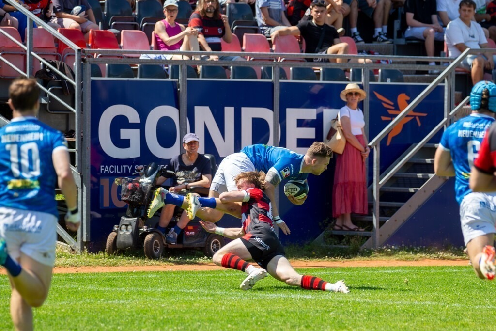 Rugby 1. Bundesliga Süd/West, Saison 2024/25, Finalphase Halbfinale: SC Frankfurt 1880 gegen SC Neuenheim | Rugby 1. Bundesliga Süd/West, Saison 2024/25, Finalphase Halbfinale: SC Frankfurt 1880 gegen SC Neuenheim - Realisiert mit Pictrs.com