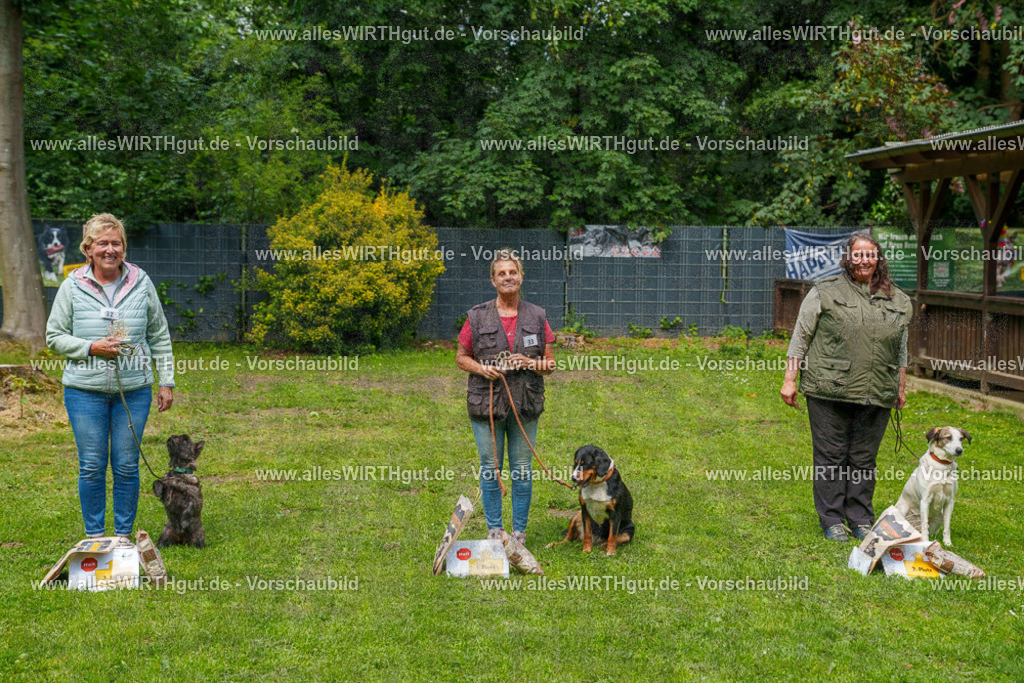 @allesWIRTHgut_Tierfotografie - www.allesWIRTHgut.de - 7R506047 | Professionelle Tierfotografie in Mönchengladbach von Daniel Wirth (allesWIRTHgut). Liebevolle & natürliche Bilder von Hunden & Katzen für unvergessliche Erinnerungen.