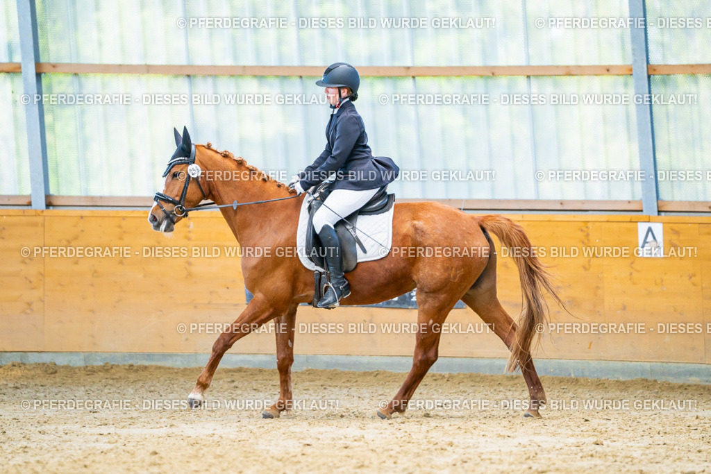 DSC07084 | Pferdegrafie