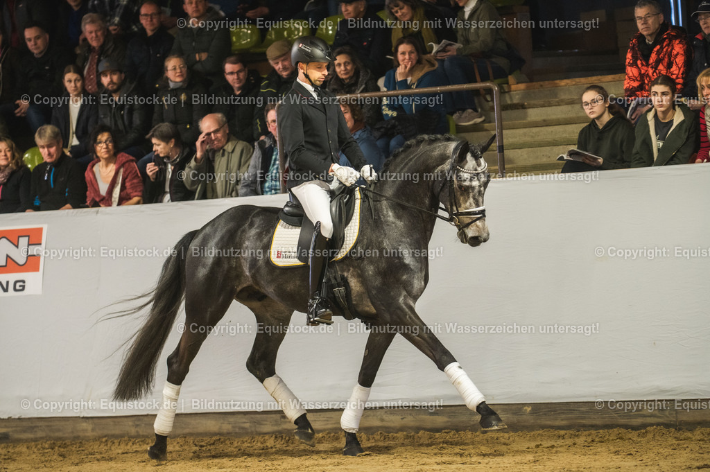 20240302_Hengstvorstellung_Marbach_TOMsPiC_0181 | equistock