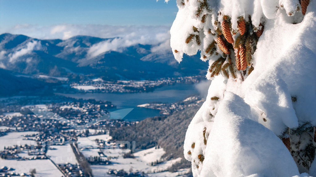 Blick von der Rinnerspitz gen Rottach-Egern II (Fokus Tanne); W46 | Ein winterlicher Blick von der Rinnerspitz hinunter ins Tegernseer Tal: Verschneite Hänge rahmen den tiefblauen Tegernsee ein, während sich Rottach-Egern ruhig und fast märchenhaft unter einer weißen Decke ausbreitet. Die klare Luft und die weite Sicht machen diesen Moment zu etwas ganz Besonderem: Ein stiller Augenblick hoch über dem Tal, der die Schönheit des Winters in den bayerischen Alpen eindrucksvoll zeigt. - Realisiert mit Pictrs.com
