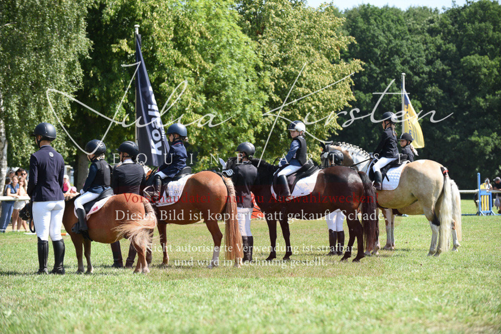 DSC_9874 | Pferde- und Turnierfotografie in Westsachsen. Pferdeportraits, Auftragszeichnungen und intuitive Kunst.