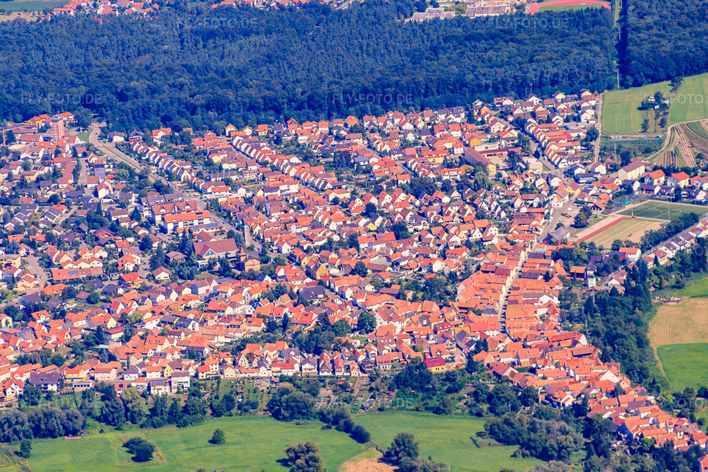 Luftbild: Stadtansicht von Süden in Jockgrim im Bundesland Rheinland-Pfalz in Deutschland. Foto: IMG_32179.jpg vom 20.08.2010 durch Werner Riehm/FLY-FOTO.de