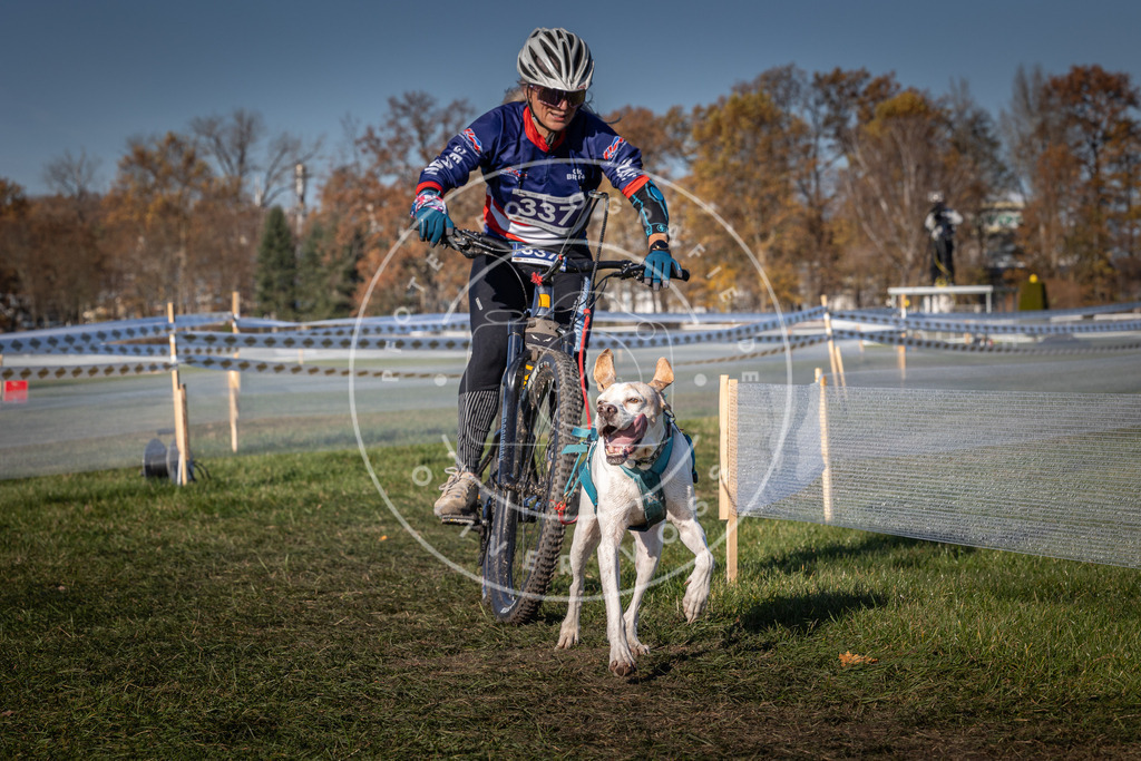 CaniXpix_0L8A5923 | Hundefotografie, Tierfotograf, Pfotenfotografie, Fotoshooting Hund, Hunde Portrait, Hundesport, Hundeportraits, Heideshooting, Hunde, Sportfotograf, Hundefotograf, Turnierhundsport, THS,  - Realisiert mit Pictrs.com