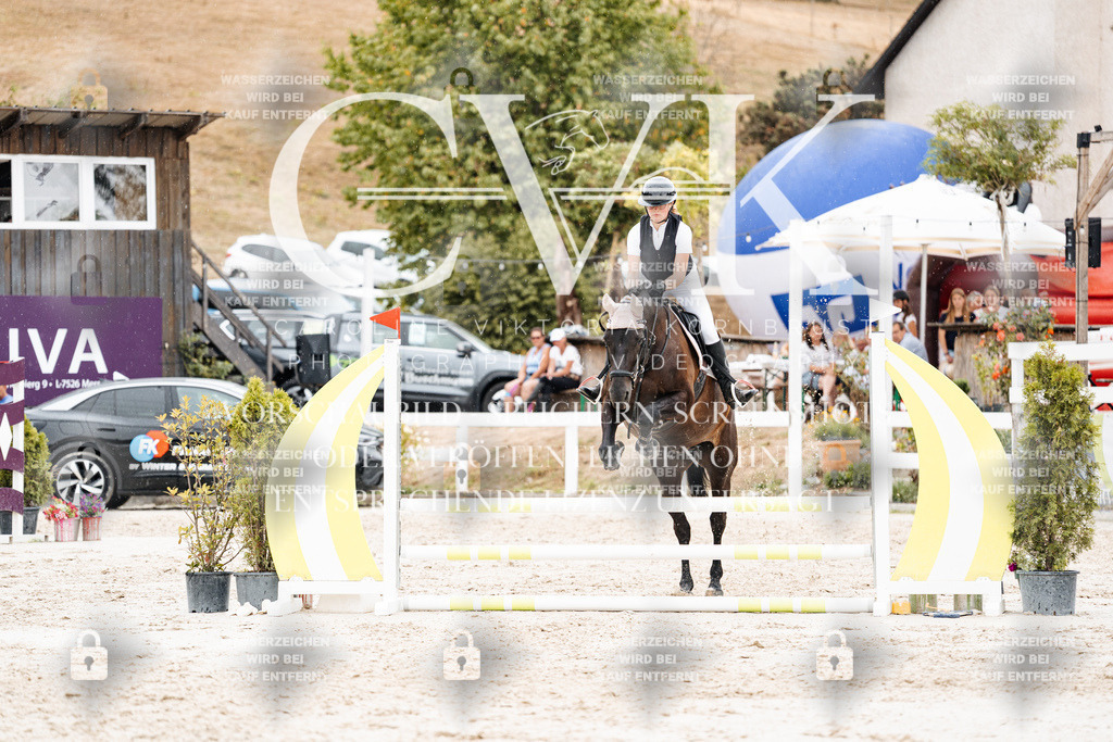 CK908571 | Turnierfotografie Pferdefotografie Trier Rheinland-Pfalz Pferdesport Reitsport Tierfotografie Sportfotografie Pferdevideo Pferdevideografie Equestrianvideography equestrianphotography  - Realisiert mit Pictrs.com