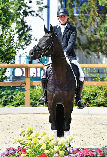 06 Stars and Stripes DE330395617 HE-Rpf Sandro Hit - Don Primero_b | <meta name="description" content="★Offizieller Merchandise und Foto-/Videostore des Oldenburger Verbandes.★ ✅Jetzt auch digital Ausdrucke erhältlich." />
<meta name="keywords" content="Merchandise Foto-/Videostore Oldenburger Verband Photographie 