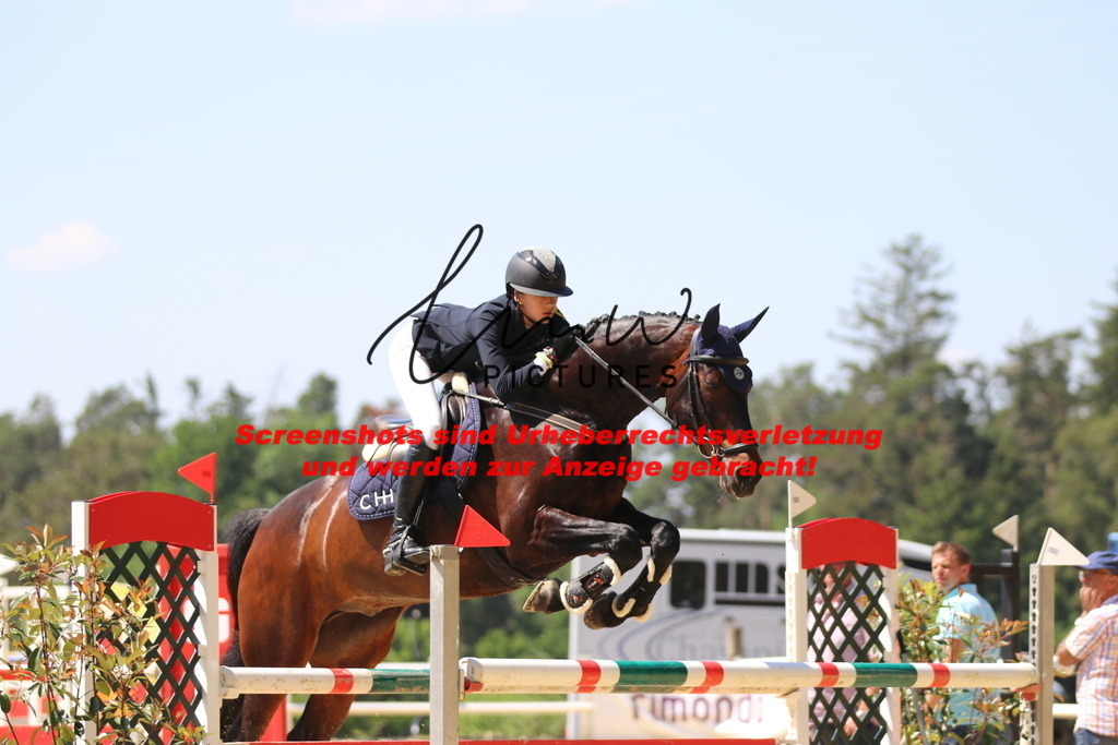 IMG_2617 | lmwpictures - Realisiert mit Pictrs.com