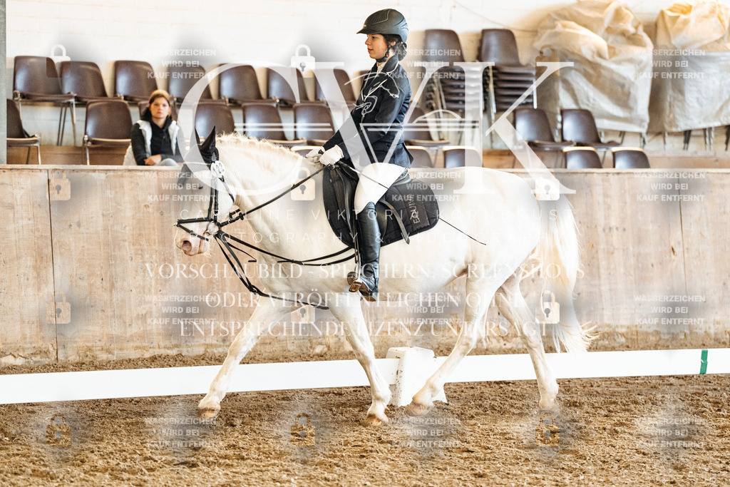CK900594 | Turnierfotografie Pferdefotografie Trier Rheinland-Pfalz Pferdesport Reitsport Tierfotografie Sportfotografie Pferdevideo Pferdevideografie Equestrianvideography equestrianphotography  - Realized with Pictrs.com