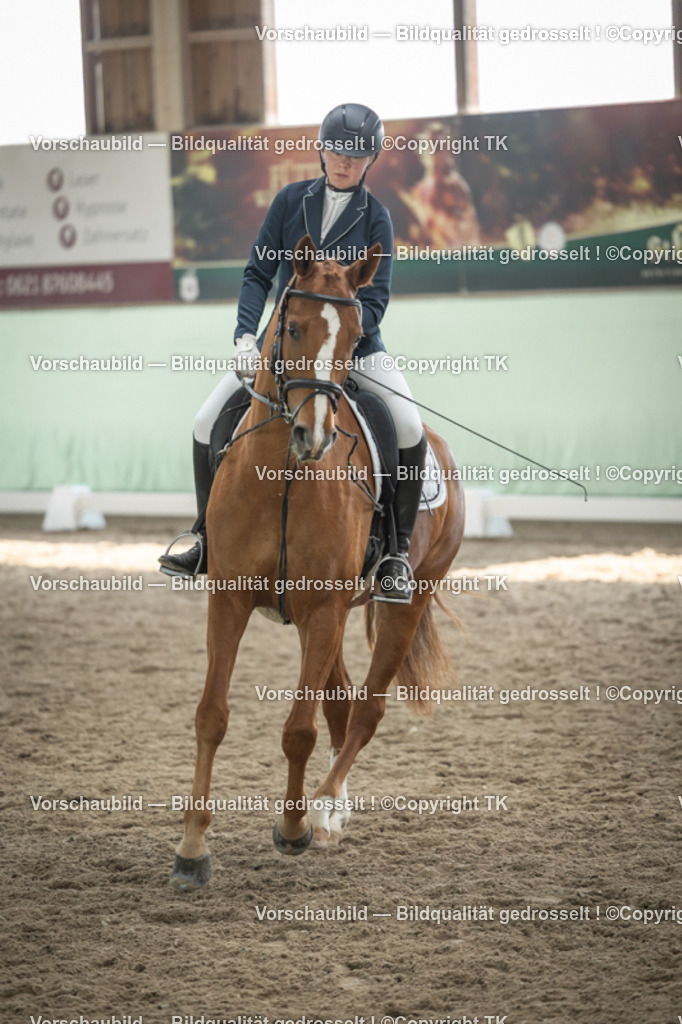 _D5A5606 | Emotionale Pferde- & People-Fotografie rund um Heidelberg, Leimen & Umgebung. Natürliche Fotos von Pferd, Mensch & Familie. Jetzt Termin sichern!