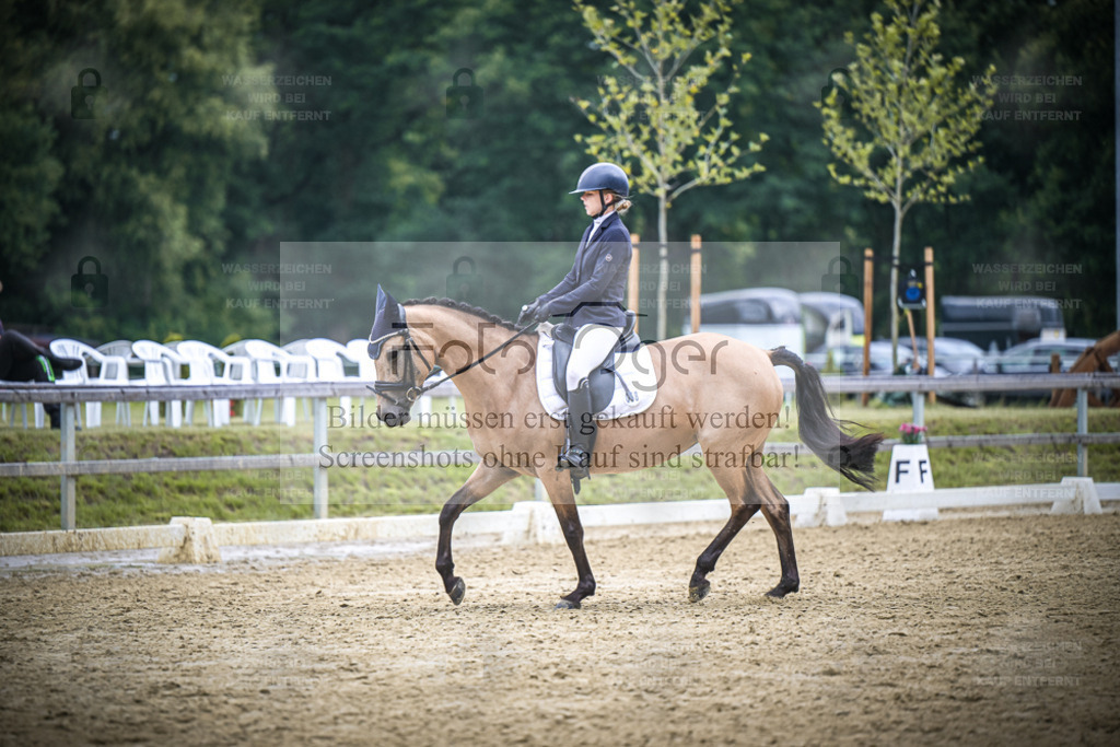 DOS_3806 | Entdecke hochwertige Reitturnierfotos von Foto Oger. Professionell, emotional und authentisch – jetzt Lieblingsmomente im Shop bestellen. - Realisiert mit Pictrs.com