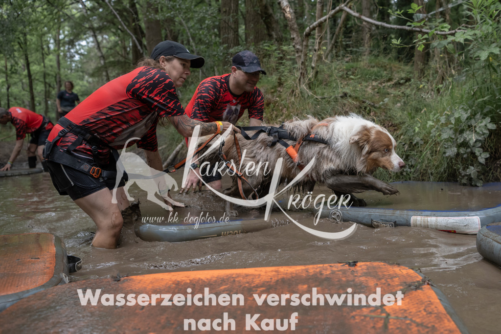 1327_ZZ94102 | kk-dogfotos