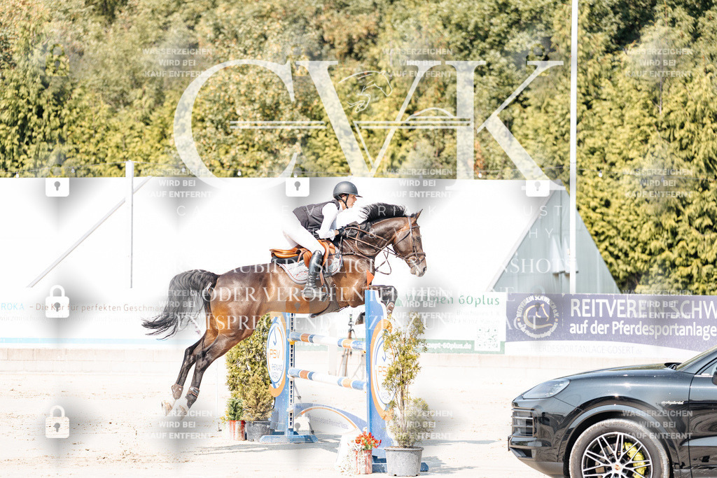 CK901499 | Turnierfotografie Pferdefotografie Trier Rheinland-Pfalz Pferdesport Reitsport Tierfotografie Sportfotografie Pferdevideo Pferdevideografie Equestrianvideography equestrianphotography  - Realisiert mit Pictrs.com