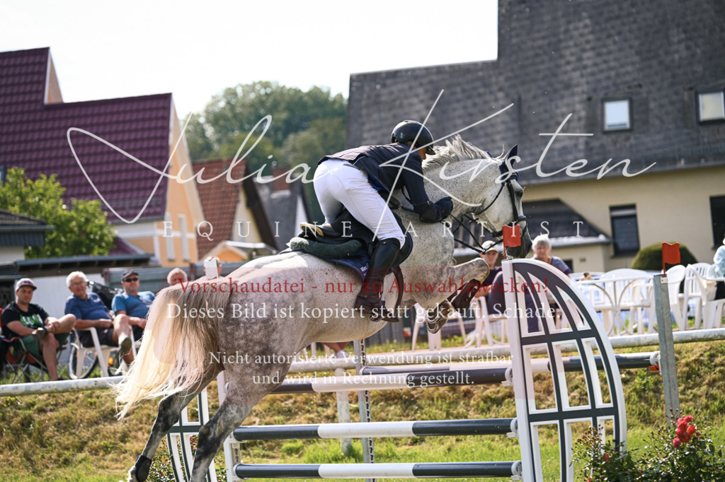 DSC_1046 | Pferde- und Turnierfotografie in Westsachsen. Pferdeportraits, Auftragszeichnungen und intuitive Kunst.