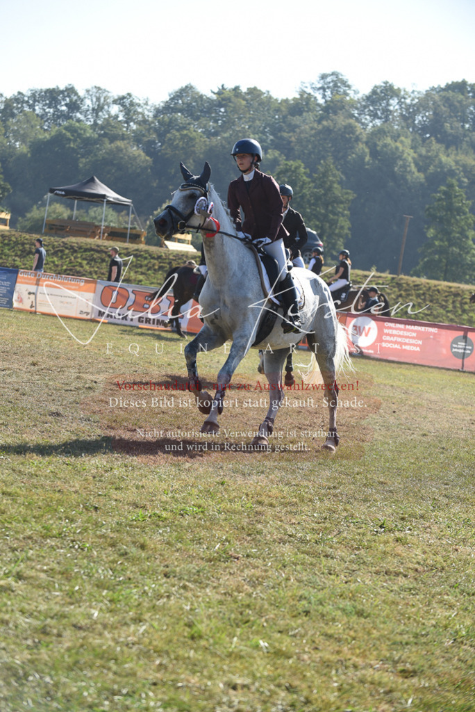 DSC_5500 | Pferde- und Turnierfotografie in Westsachsen. Pferdeportraits, Auftragszeichnungen und intuitive Kunst.