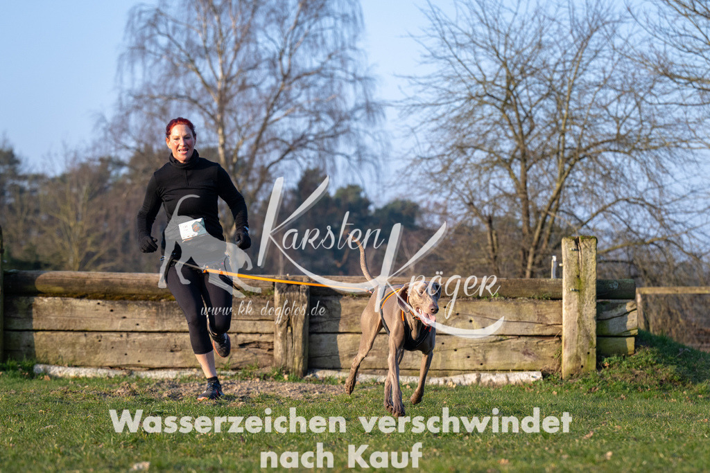 _ZZ90084 | kk-dogfotos