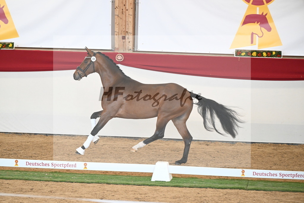Kat.-Nr. 88 v. Vitalis_Schlamminger_2250673 | hf-fotografie - Realisiert mit Pictrs.com