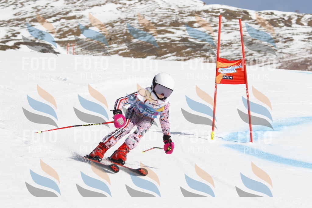 _U3G1096 | holidayphoto