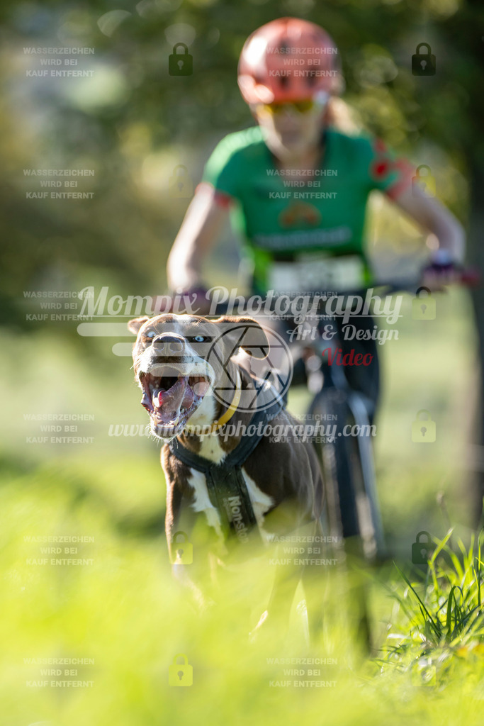 MompixPhotography_20TSB_E3_DS1-32 | PayLife