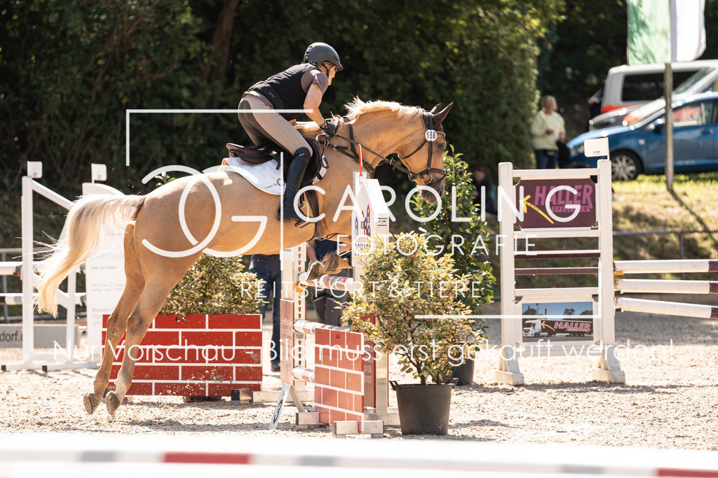 DSC02251 | Carolin Gieschke