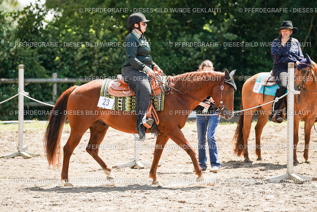 DSC06620 | Pferdegrafie