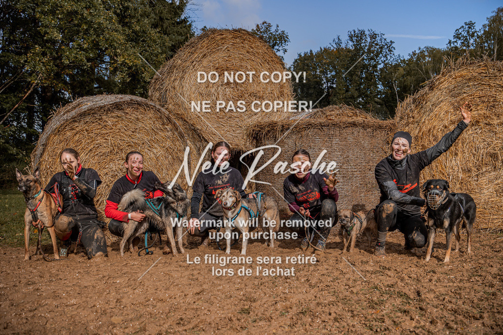 nelerasche_Hunsrück_So12-13_393 | nelerasche